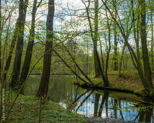 Obraz na płótnie Las Kaszuby w salonie