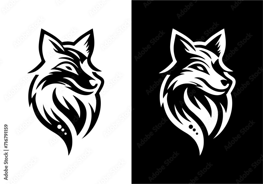 black and white fox black and white fox