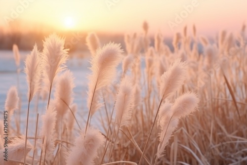 Fluffy nature in trendy color. Background with selective focus and copy space photo