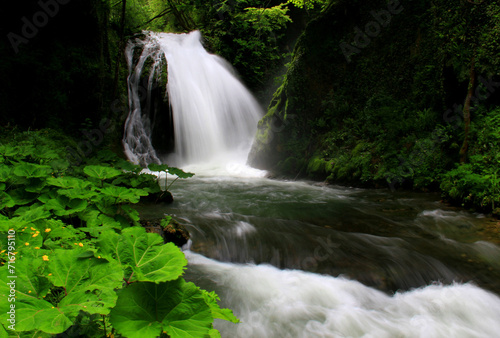 Landscape with a view of part of the Cascata delle Marmore waterfall in a dense thicket of bushes and trees in the town of Marmore  Terni  Umbria region  Italy