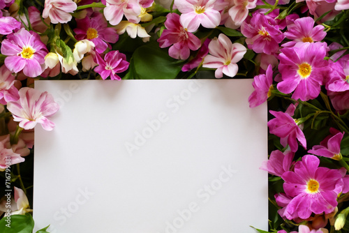 card for congratulations. A white sheet of paper lies among flowers of different shades of pink. congratulations and flowers concept
