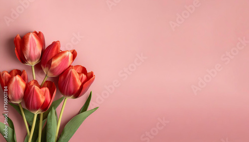 A collection of vibrant red tulips against a soft pink backdrop with tulips at varying stages of bloom  perfect for romantic occasions or elegant designs  spring themes  invitations or decor.