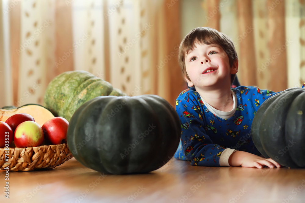 Fototapeta premium Little child choose a pumpkin at autumn. Child sitting on giant pumpkin. Pumpkin is traditional vegetable used on American holidays - Halloween and Thanksgiving Day.
