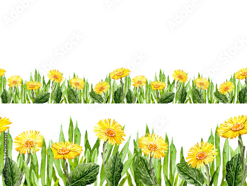 Jointless border Greenery and Foalfoot flowers