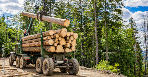 Bild auf Leinwand Truck loading wood in the forest
