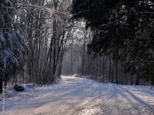 Winter im Park photo