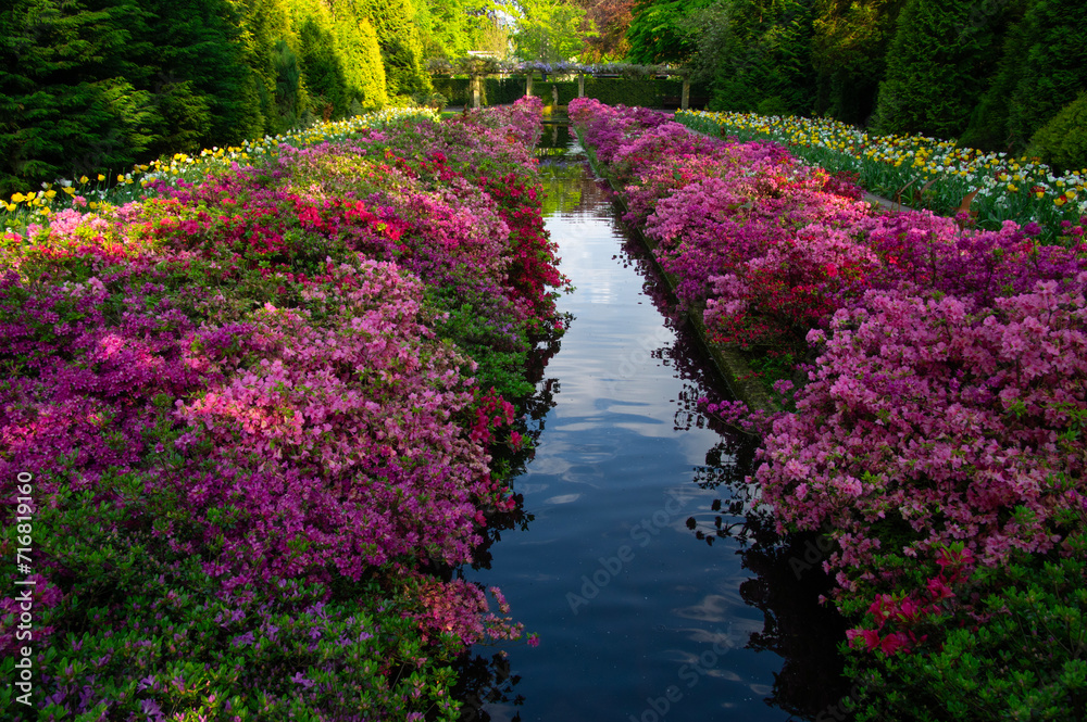 Flowers in the park in spring