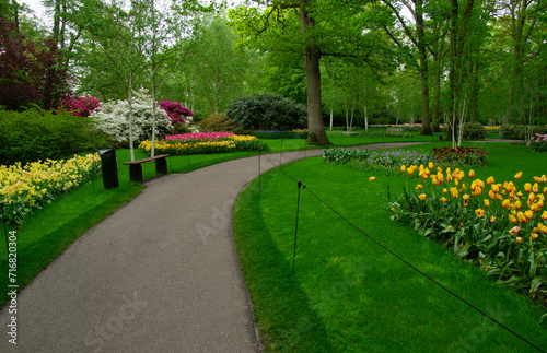 Garden stone path in a botanical garden