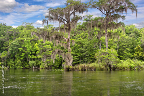 Wakulla Springs State Park near Tallahassee, Florida