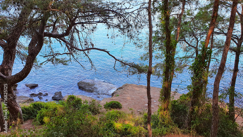 Green trees and rock beach by the sea .
