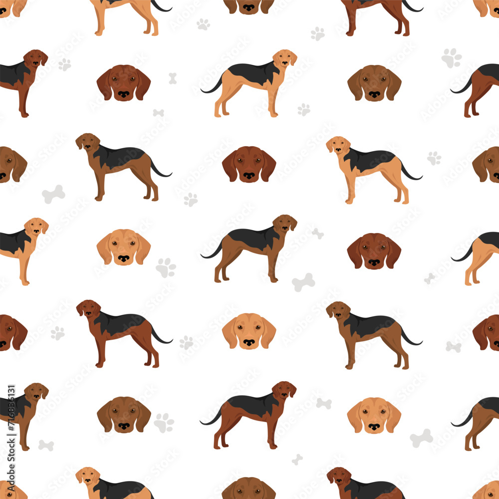 Schiller Hound seamless pattern. All coat colors set.  All dog breeds characteristics infographic
