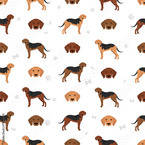 Schiller Hound seamless pattern. All coat colors set. All dog breeds characteristics infographic