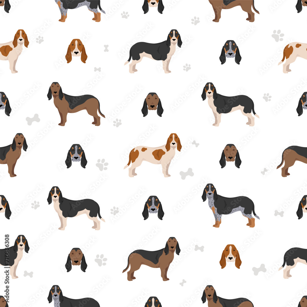 Schweizerischer Niederlaufhund, Small swiss hound seamless pattern.  All coat colors set