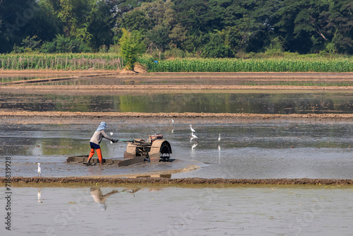 Thai farmer control the walking-tractor with start to soil plow and rake the field prior to rice cultivation.