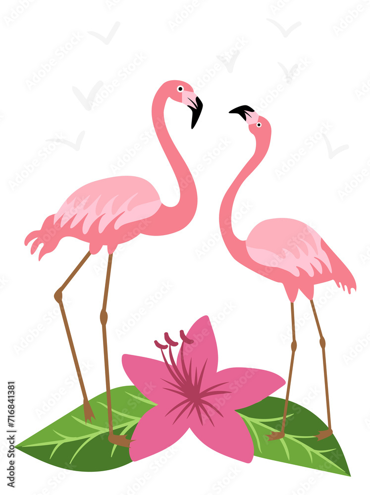 Obraz premium Flamingo pair. Pink tropical romantic summer bird