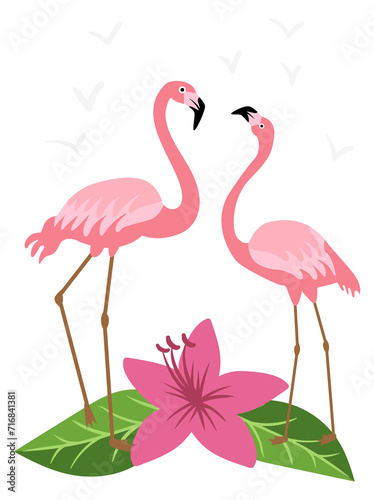 Flamingo pair. Pink tropical romantic summer bird © ONYXprj