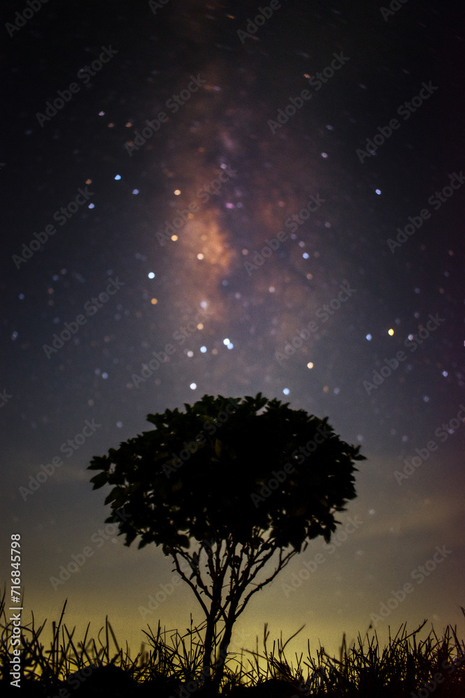 Look up at the mesmerizing night sky and let your imagination soar among the twinkling stars Embrace the beauty of nature with this enchanting tree in a vast field Look up at the mesmerizing night sky and let your imagination soar among the twinkling stars Embrace the beauty of nature with this enchanting tree in a vast field