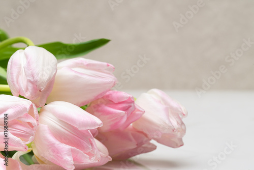 Closeup of pink and white tulips on a marble table
