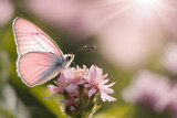 Primer plano de una mariposa rosa y blanca, suave y delicada, descansa sobre una flor en un campo de colores vibrantes. Una visión encantadora que evoca la belleza efímera de la naturaleza. IA.