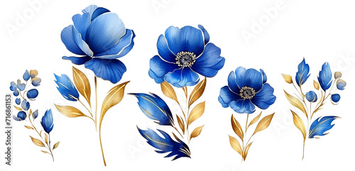 watercolor drawing, set of flowers and leaves in blue and gold colors. flower bouquets isolated photo