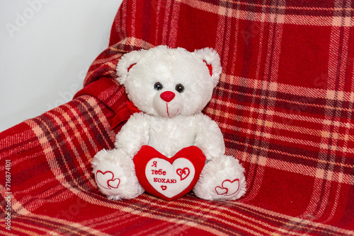 White teddy bear toy with a red heart