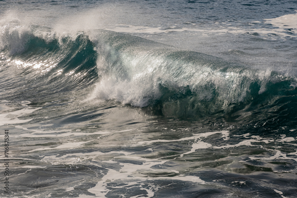 Fototapeta premium 2023-canarie-2023