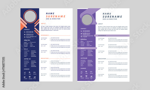 Professional resume curriculum template layout