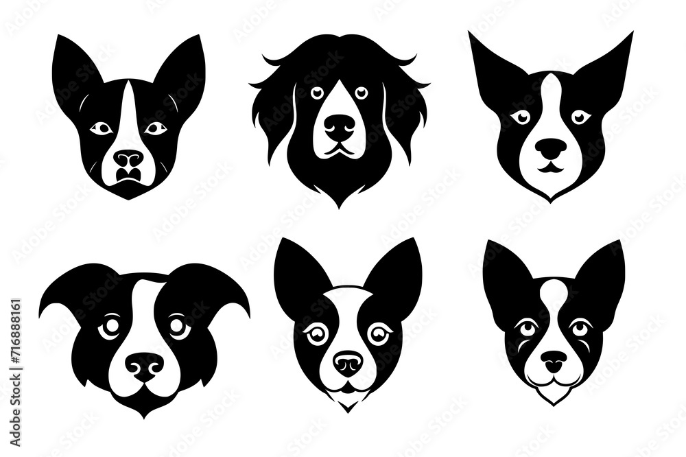 black and white dogs