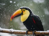 Bird Toucan on tree with snow. AI Generated.