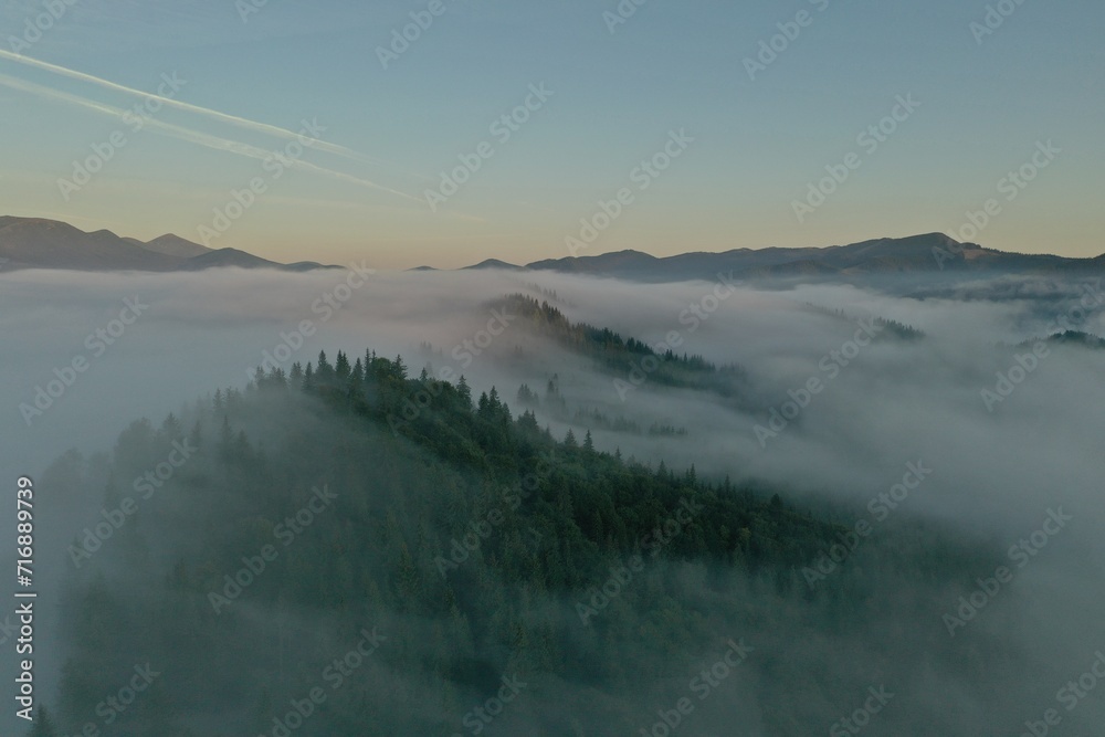 Aerial view of beautiful mountains and conifer trees on foggy morning