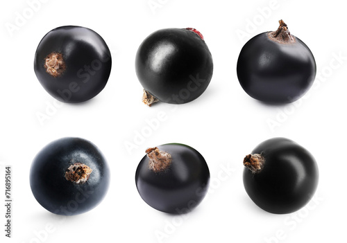 Ripe black currants isolated on white, set photo