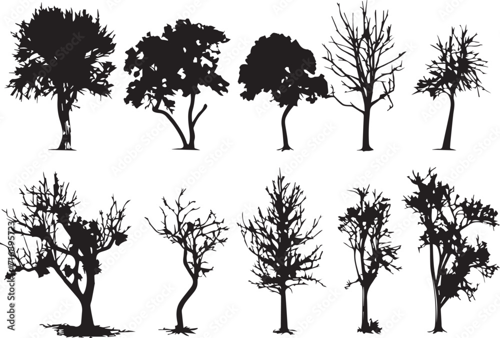 Fototapeta premium Set Trees. Hand drawn vector illustration