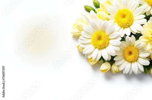 Wallpaper Mural White background with spring flowers. Concept for Mother's Day, International Women's Day, Women's Day Torontodigital.ca