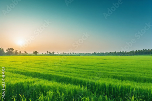 Image of vast  lush green field under bright  clear sky