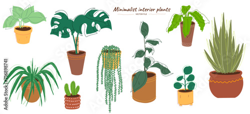 Plantes vertes style minimaliste. Fichier vectoriel de plantes d'intérieures. Feuilles et plantes vertes minimaliste dans un style minimal année 60-70	