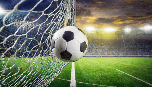 soccer ball in goal net © Animaflora PicsStock
