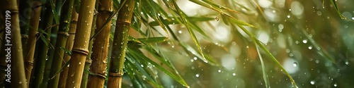Vivid green bamboo stems with raindrops. Generative AI