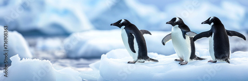 Chinstrap penguins (Pygoscelis chinstrap) on the ice floe