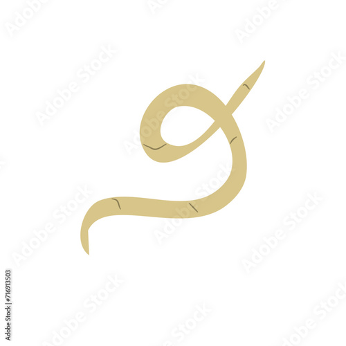 Parasitic Worm Vector