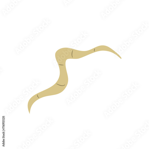 Parasitic Worm Vector