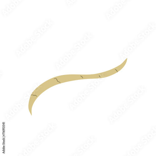 Parasitic Worm Vector