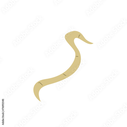 Parasitic Worm Vector