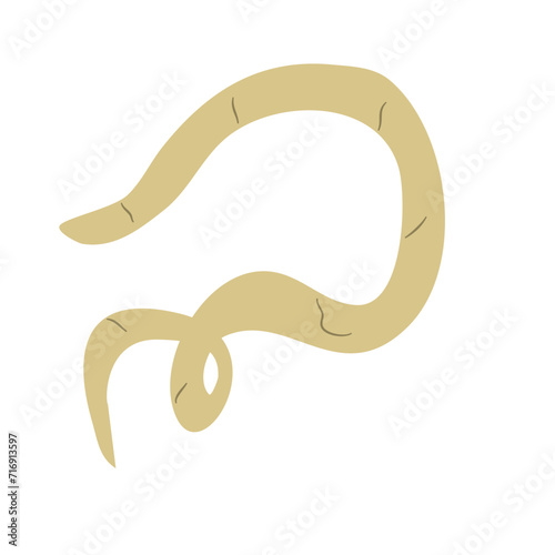 Parasitic Worm Vector