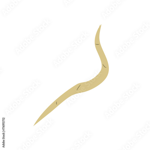 Parasitic Worm Vector