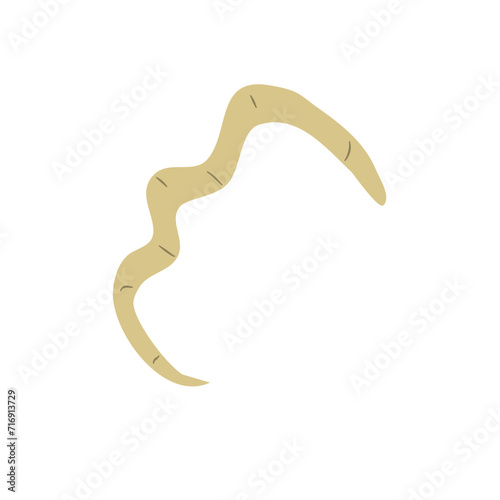 Parasitic Worm Vector