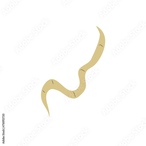 Parasitic Worm Vector