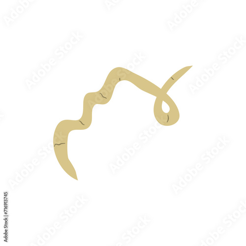 Parasitic Worm Vector