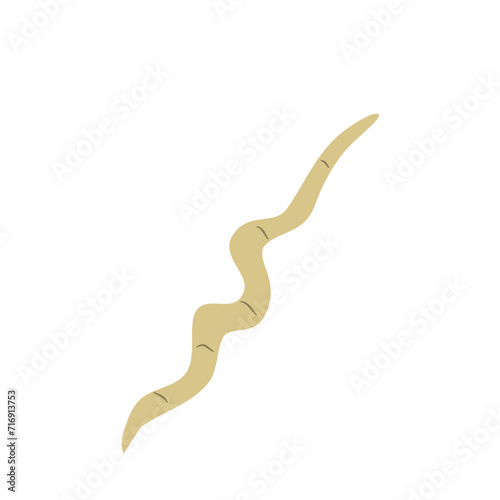 Parasitic Worm Vector