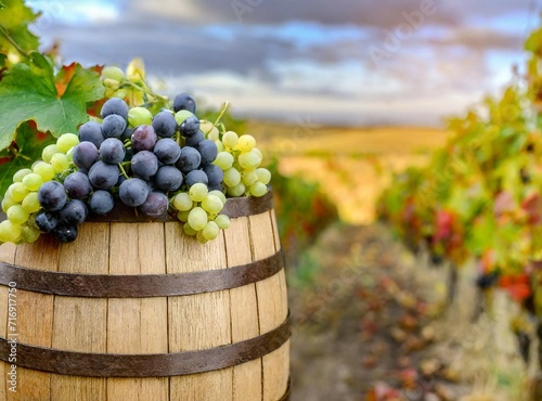 Grapes in barrel at vineyard