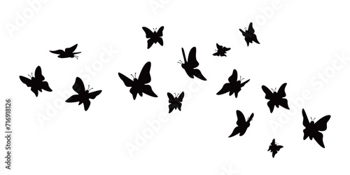 butterflies silhouette design. beauty insect sign and symbol. photo